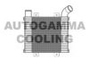 HYUNDAI 281904A200 Intercooler, charger